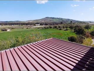 Vista