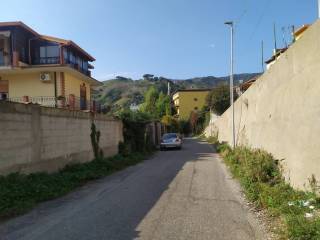 Zona