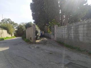 Zona