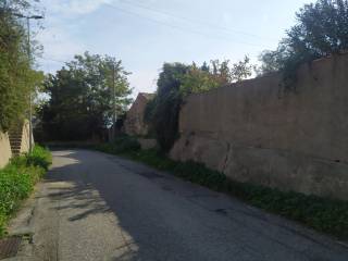Zona