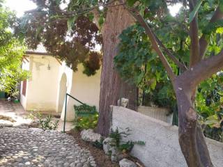 Ingresso