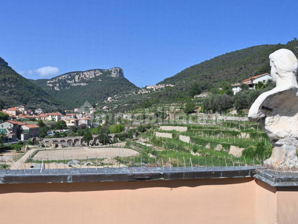 Vista