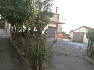 Zona