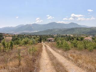 Vista