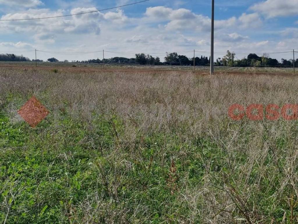 Terreno agricolo strada per sbitri, snc, mitrano - litoranea, brindisi