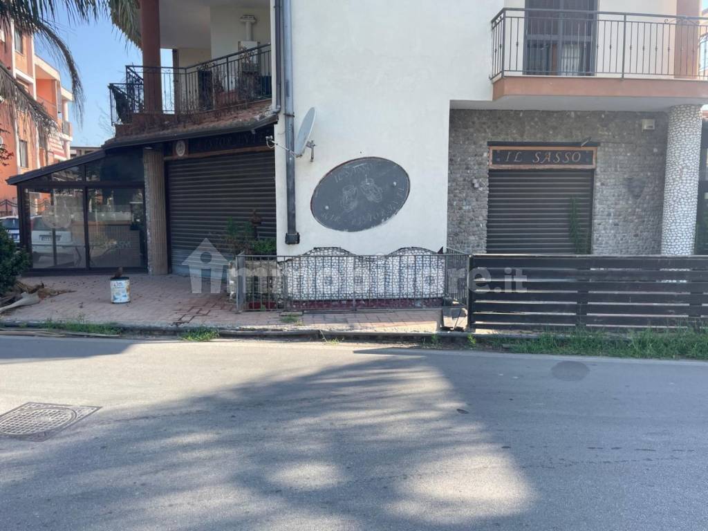 Zona