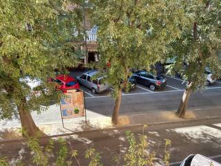Zona