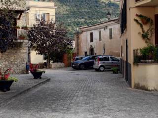 Zona