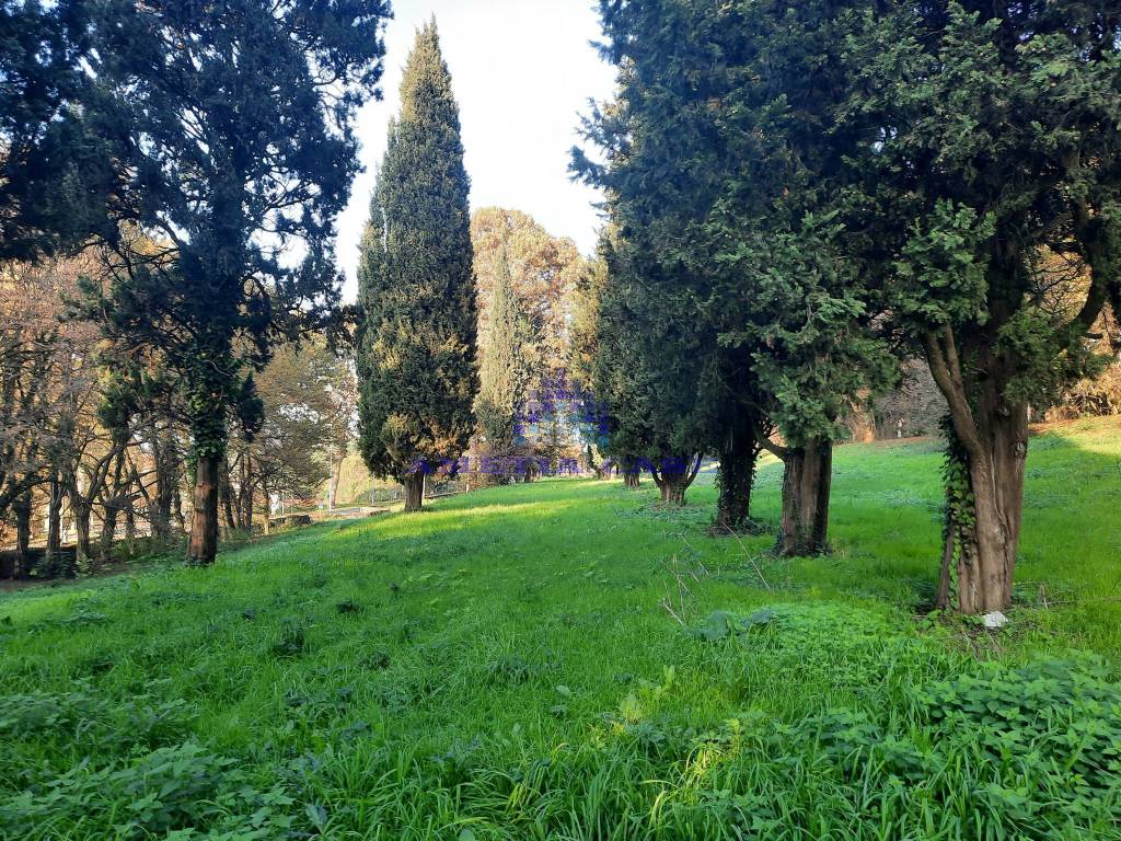 Terreno non edificabile via dei contadini verderesi, verderio superiore, verderio