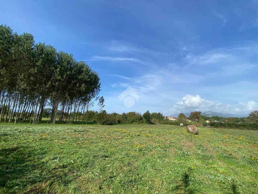 Terreno agricolo via faio, cassino