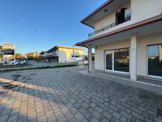 Zona