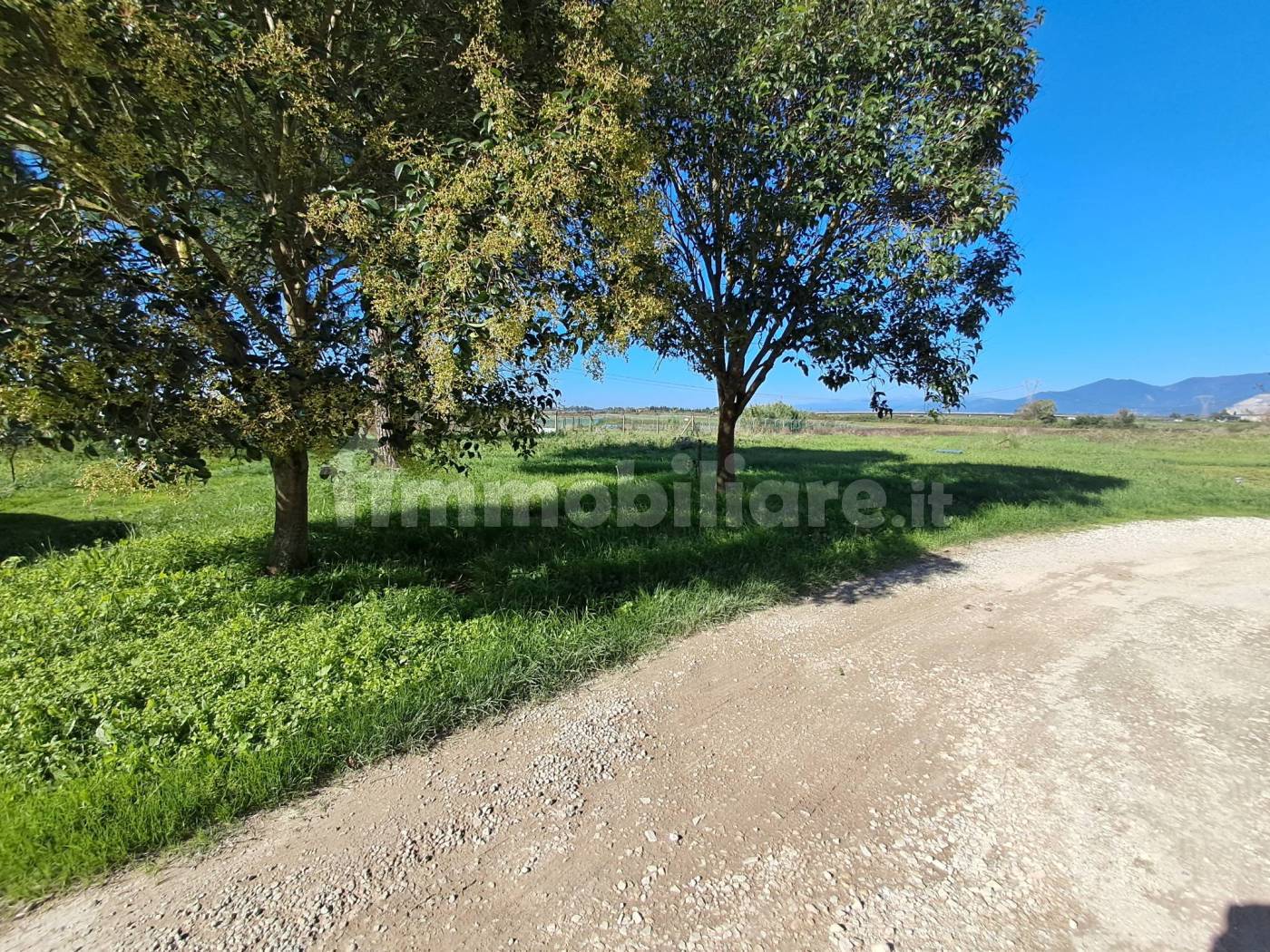 Casa indipendente in vendita a Crespina e Lorenzana