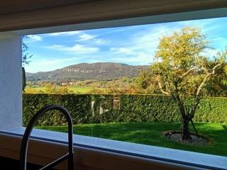 Vista