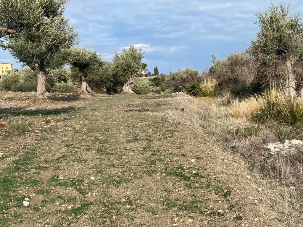 Terreno agricolo furitano, trabia