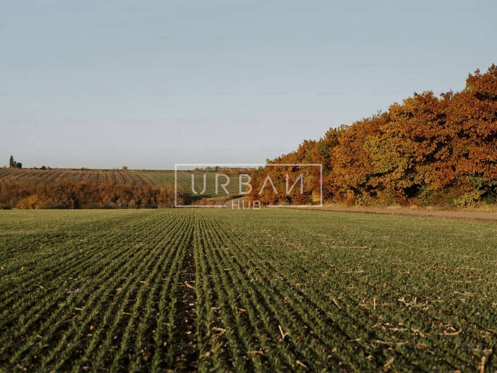 Terreno agricolo via bernardini, centro, castrocaro terme e terra del sole