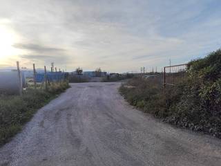 Zona
