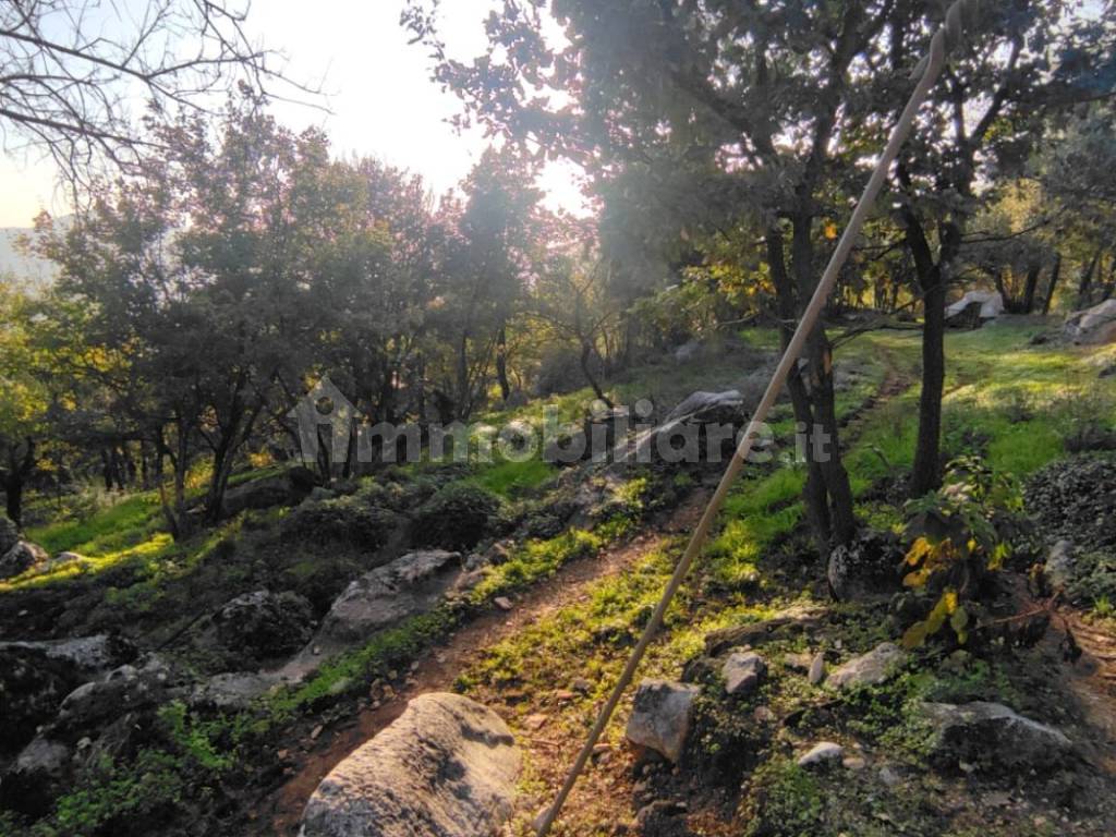 Terreno