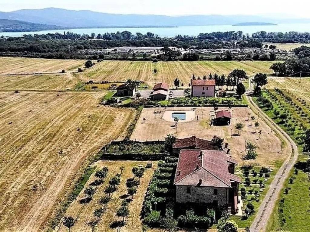 Terreno non edificabile via trasimeno ii, 34, i bertoni, castiglione del lago