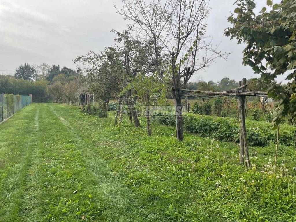 Terreno agricolo, rivarossa