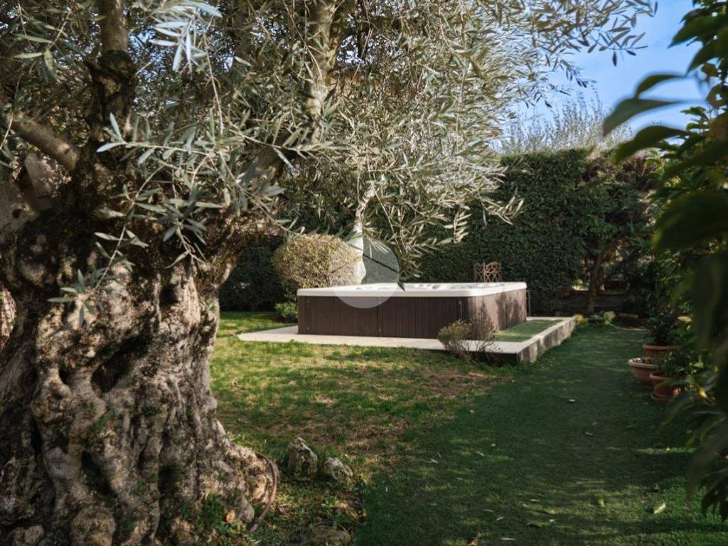 Giardino