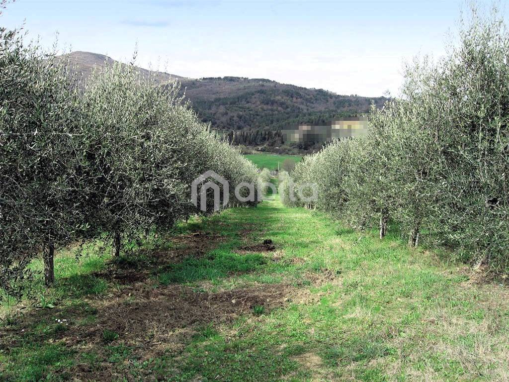 Terreno agricolo strada moncioni, frazioni collinari, montevarchi