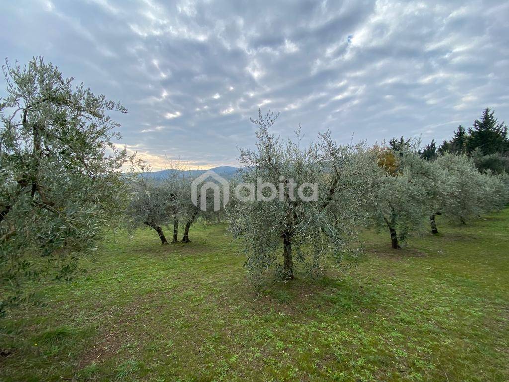 Terreno agricolo via chiantigiana, cavriglia