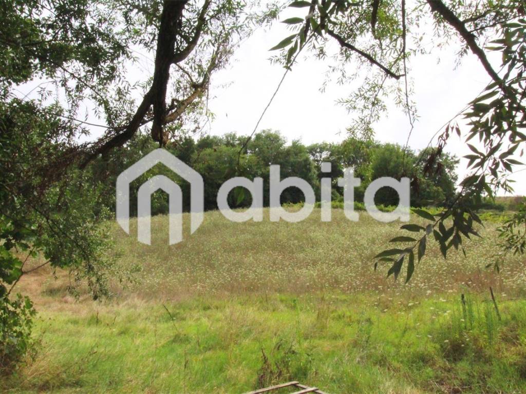 Terreno agricolo campagna, san giovanni valdarno