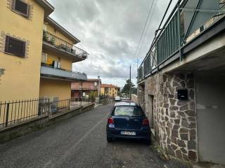 Zona