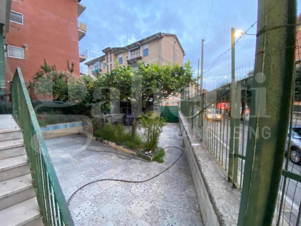 Giardino