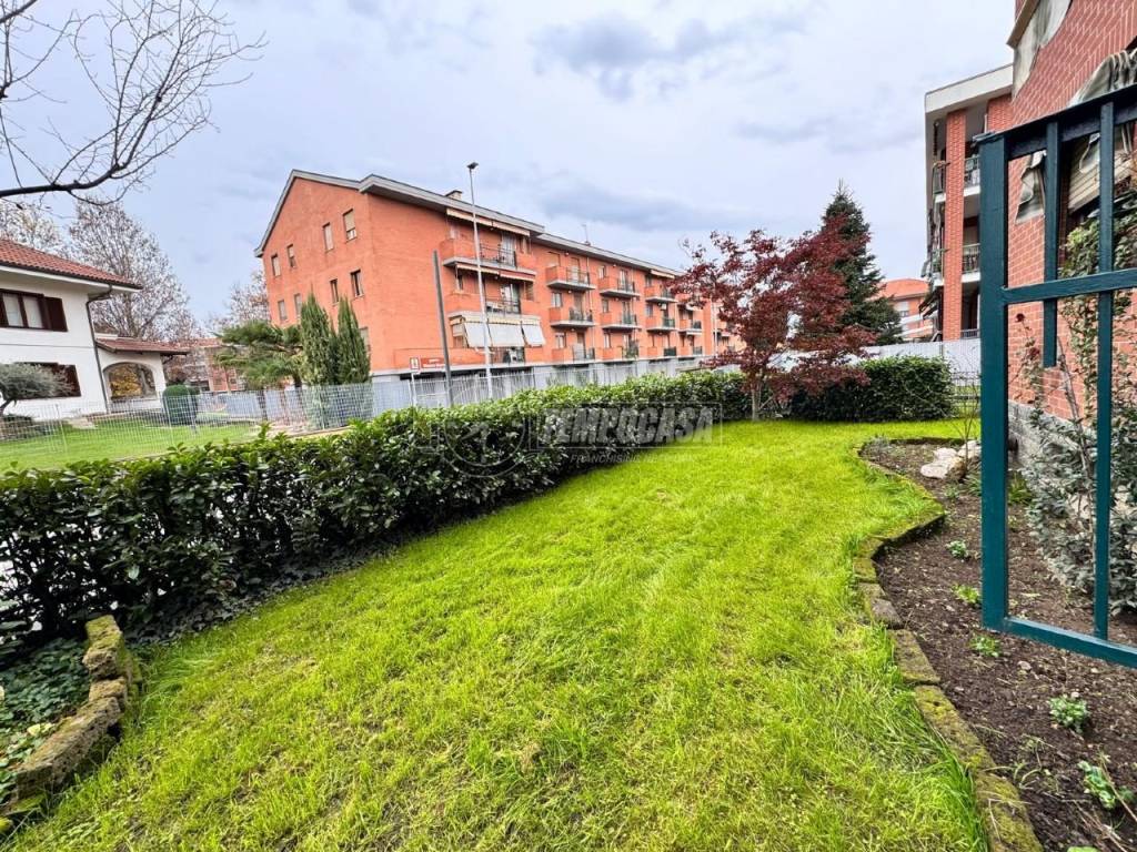 Giardino
