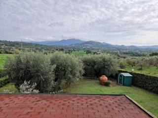 Vista