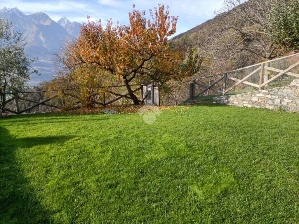 Terreno