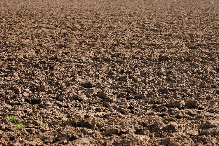 Terreno agricolo via di mezzo 122, case ponte fossa, nonantola