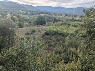 Vista