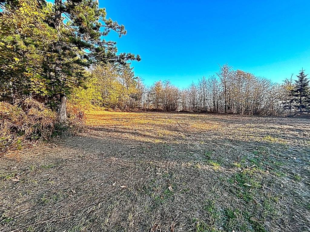 Terreno agricolo via poggio momigno, femminamorta, marliana