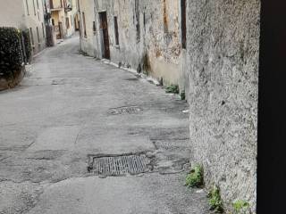 Zona