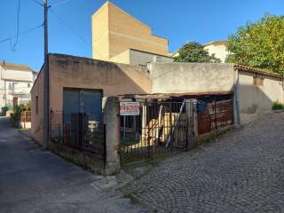 Zona