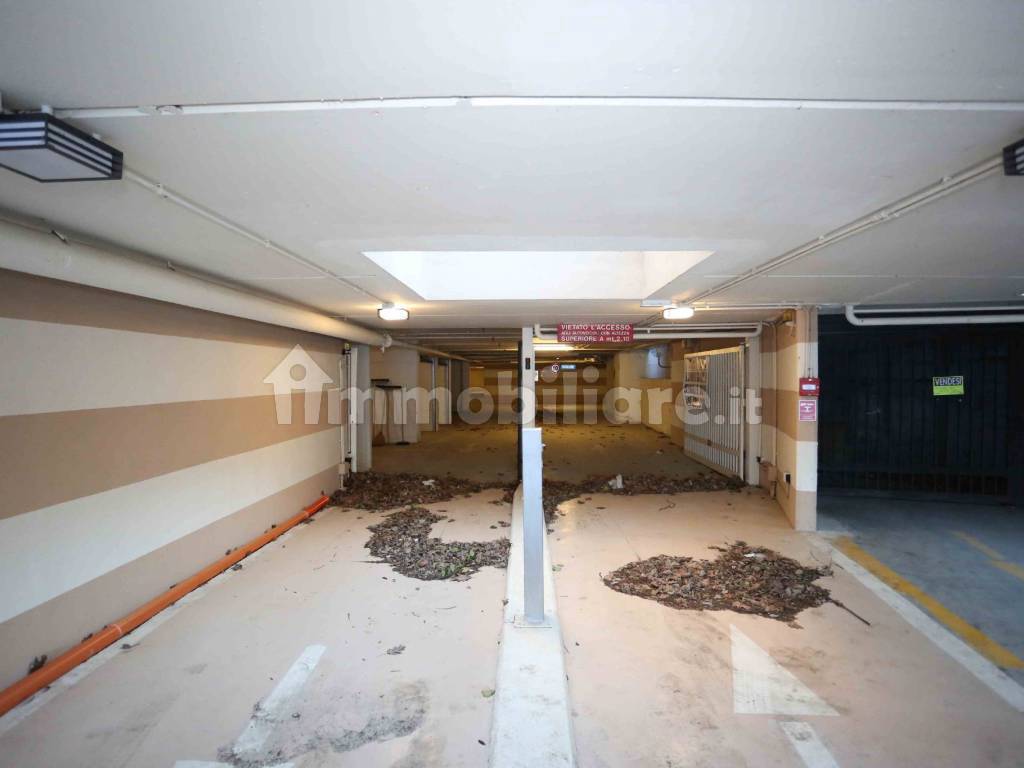 Ingresso