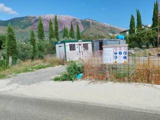 Zona