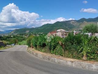 Zona