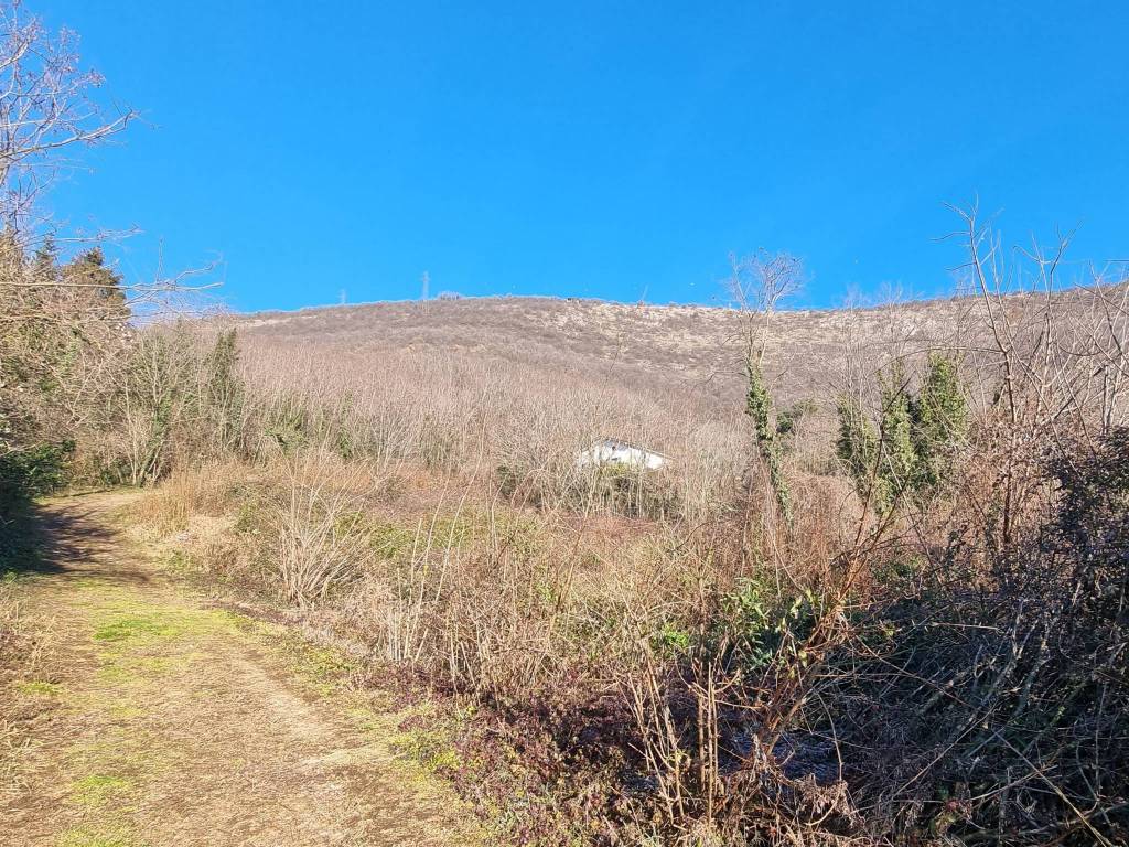 Terreno agricolo via casello, centro, concesio