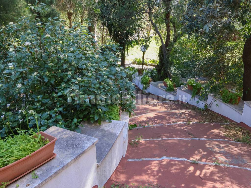 Giardino