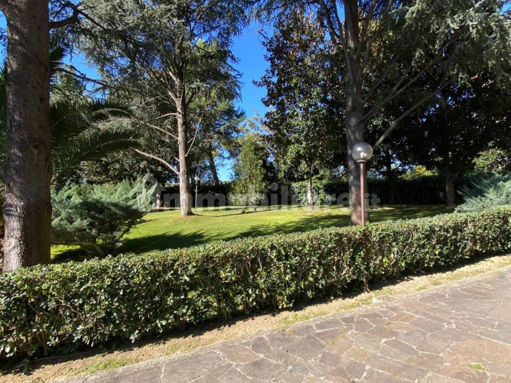 Giardino