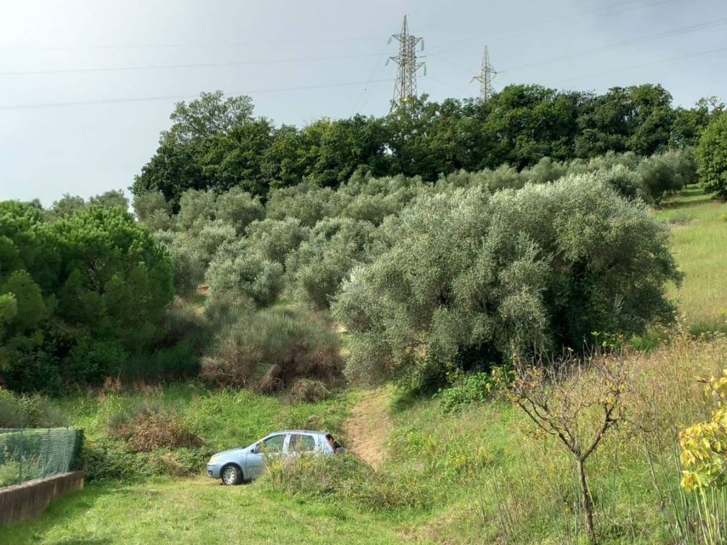 Terreno agricolo strada ponte della valle, celletta - santa veneranda, pesaro