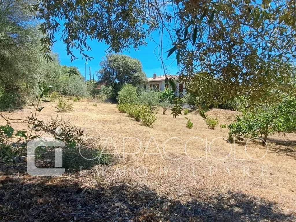 Terreno edificabile, berchiddeddu, sa castanza, olbia