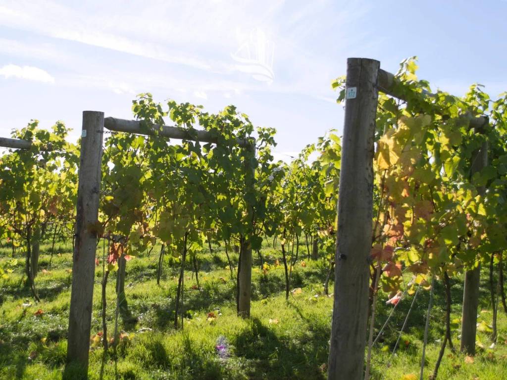 Terreno agricolo st. josef am see, seestrasse, caldaro sulla strada del vino