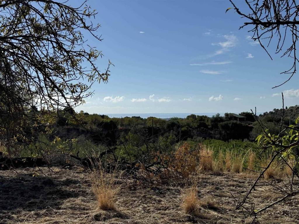 Terreno agricolo, avola