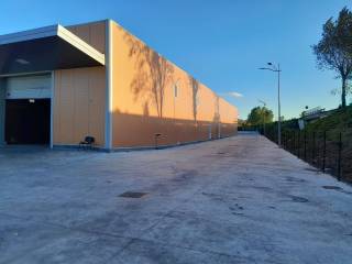 Zona