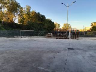Zona