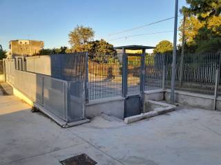 Zona